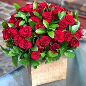 Meet your Posher, Astrid